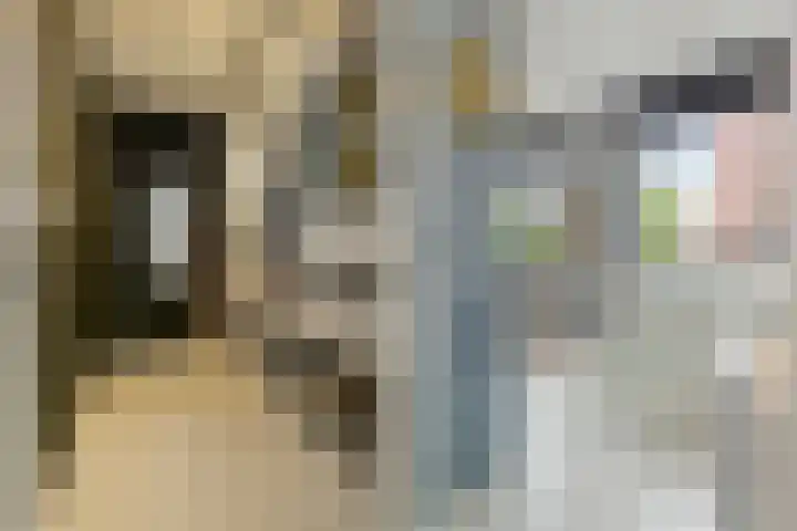Florimont 10 's-Hertogenbosch thumbnail 29