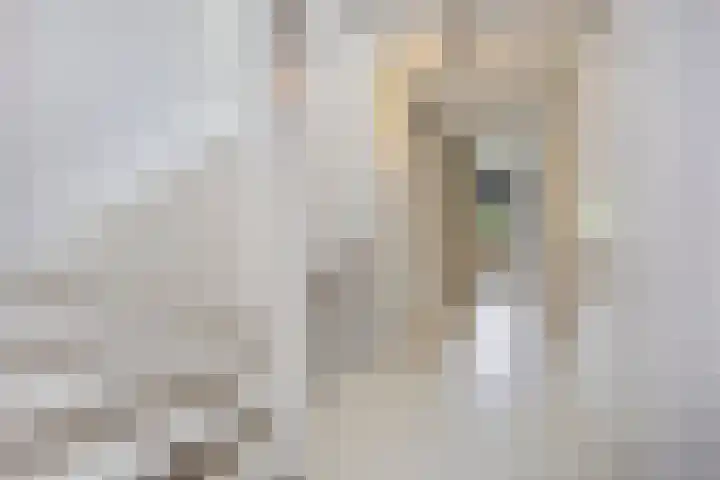 Florimont 10 's-Hertogenbosch thumbnail 35