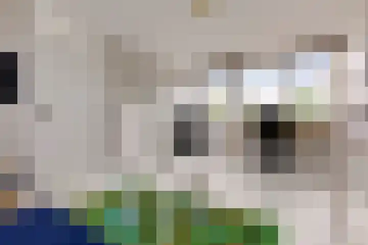 Florimont 10 's-Hertogenbosch thumbnail 37