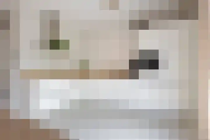 Florimont 10 's-Hertogenbosch thumbnail 4