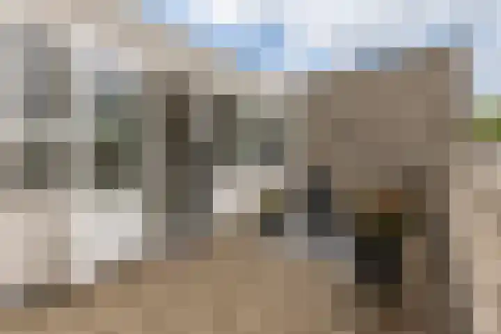 Florimont 10 's-Hertogenbosch thumbnail 41