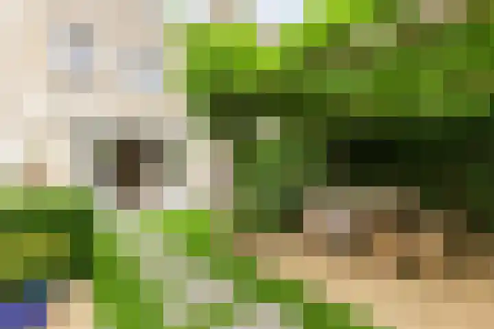 Florimont 10 's-Hertogenbosch thumbnail 43