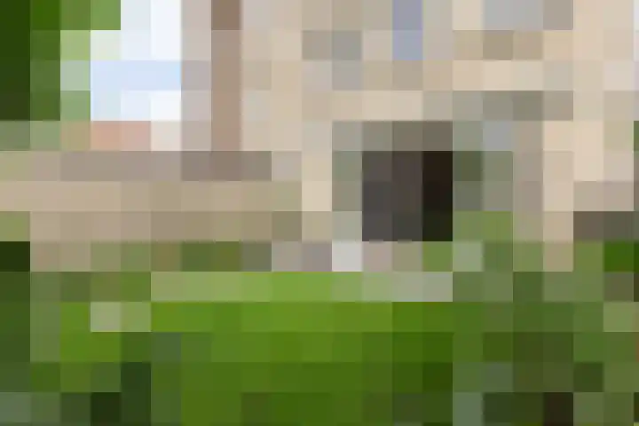 Florimont 10 's-Hertogenbosch thumbnail 45