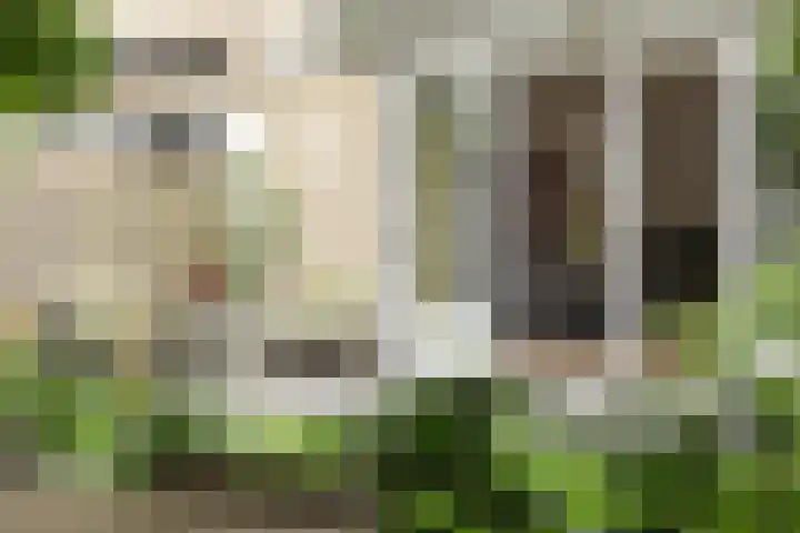 Florimont 10 's-Hertogenbosch thumbnail 46