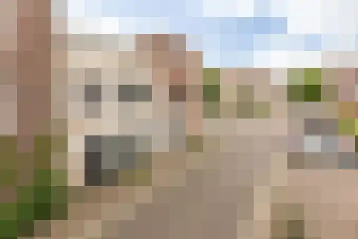 Florimont 10 's-Hertogenbosch thumbnail 48