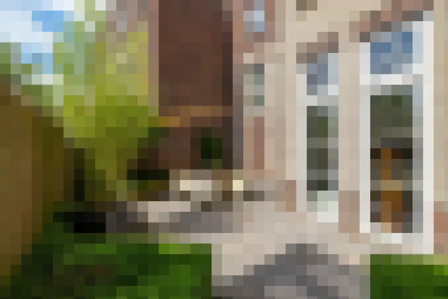 Florimont 24 's-Hertogenbosch thumbnail 27