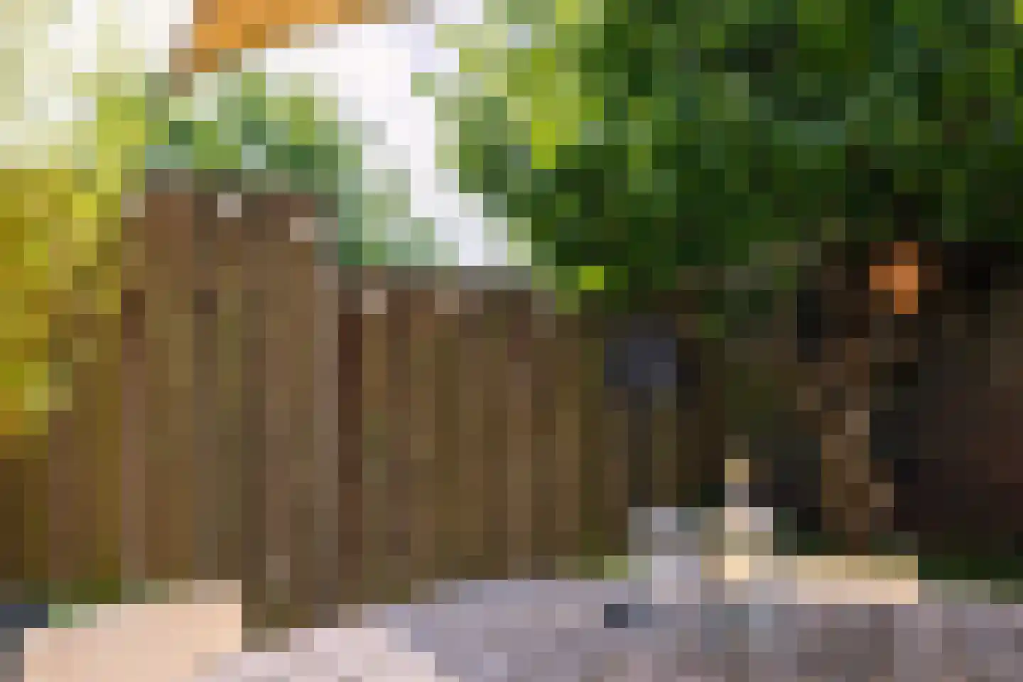 Florimont 24 's-Hertogenbosch thumbnail 31