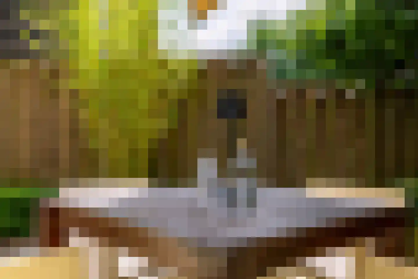 Florimont 24 's-Hertogenbosch thumbnail 33