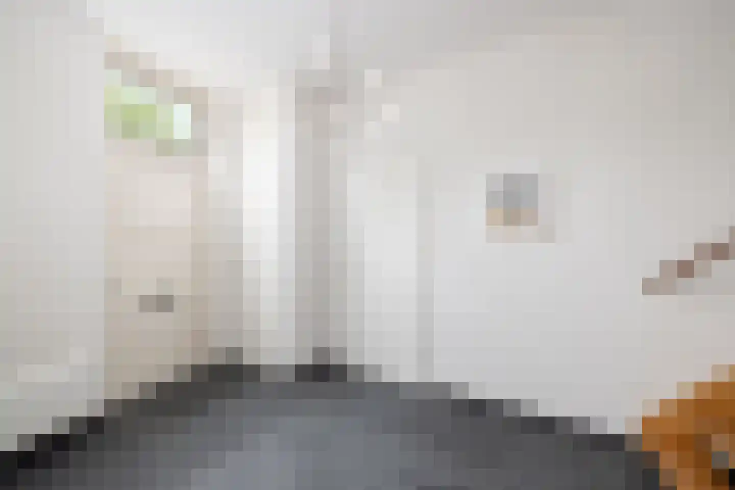 Florimont 24 's-Hertogenbosch thumbnail 5