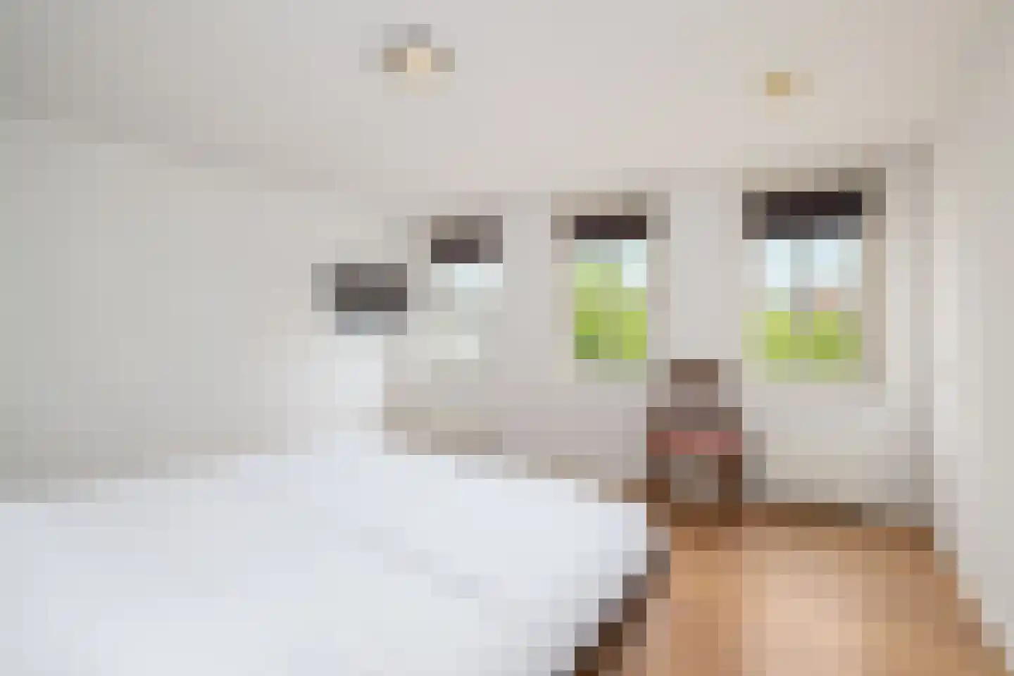 Florimont 24 's-Hertogenbosch thumbnail 52