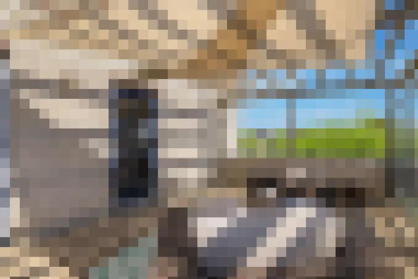 Florimont 24 's-Hertogenbosch thumbnail 64