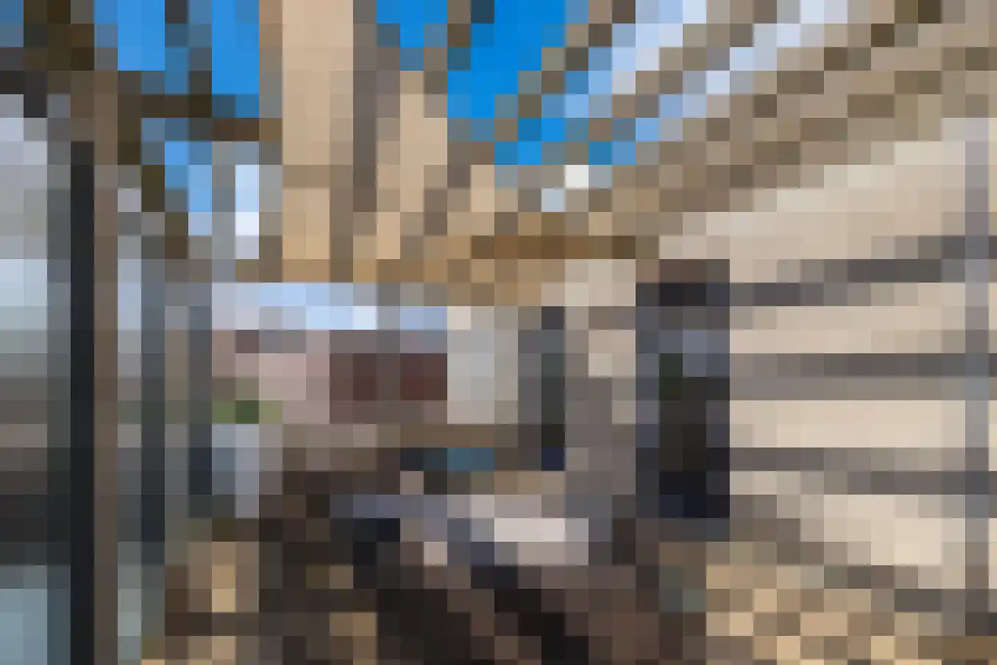 Florimont 24 's-Hertogenbosch thumbnail 66