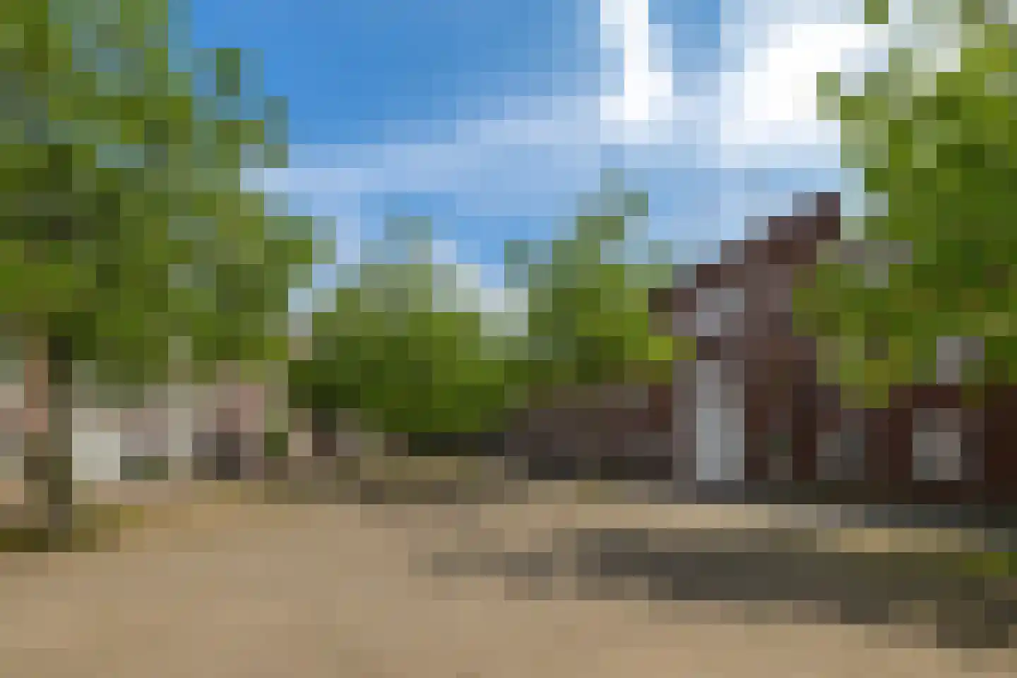 Florimont 24 's-Hertogenbosch thumbnail 71