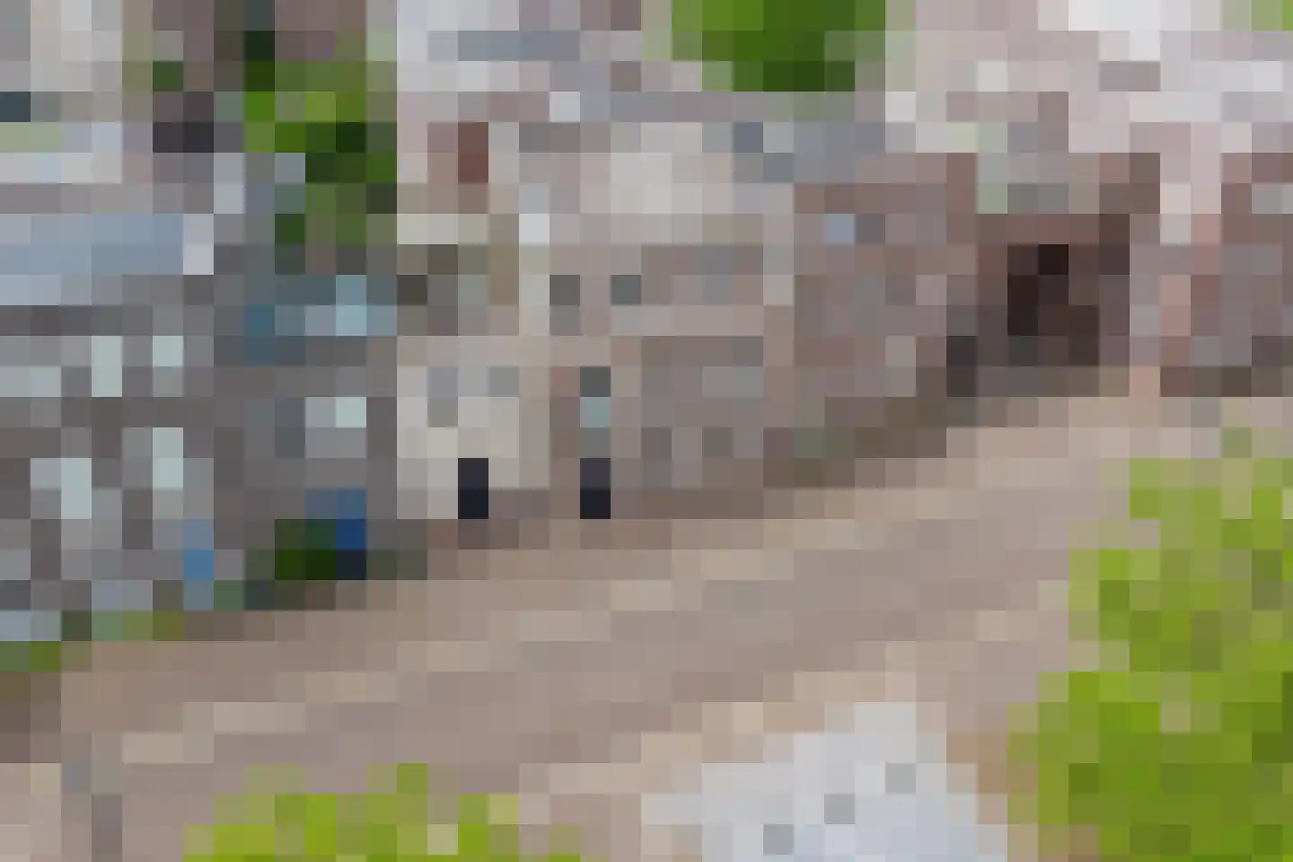 Florimont 24 's-Hertogenbosch thumbnail 80