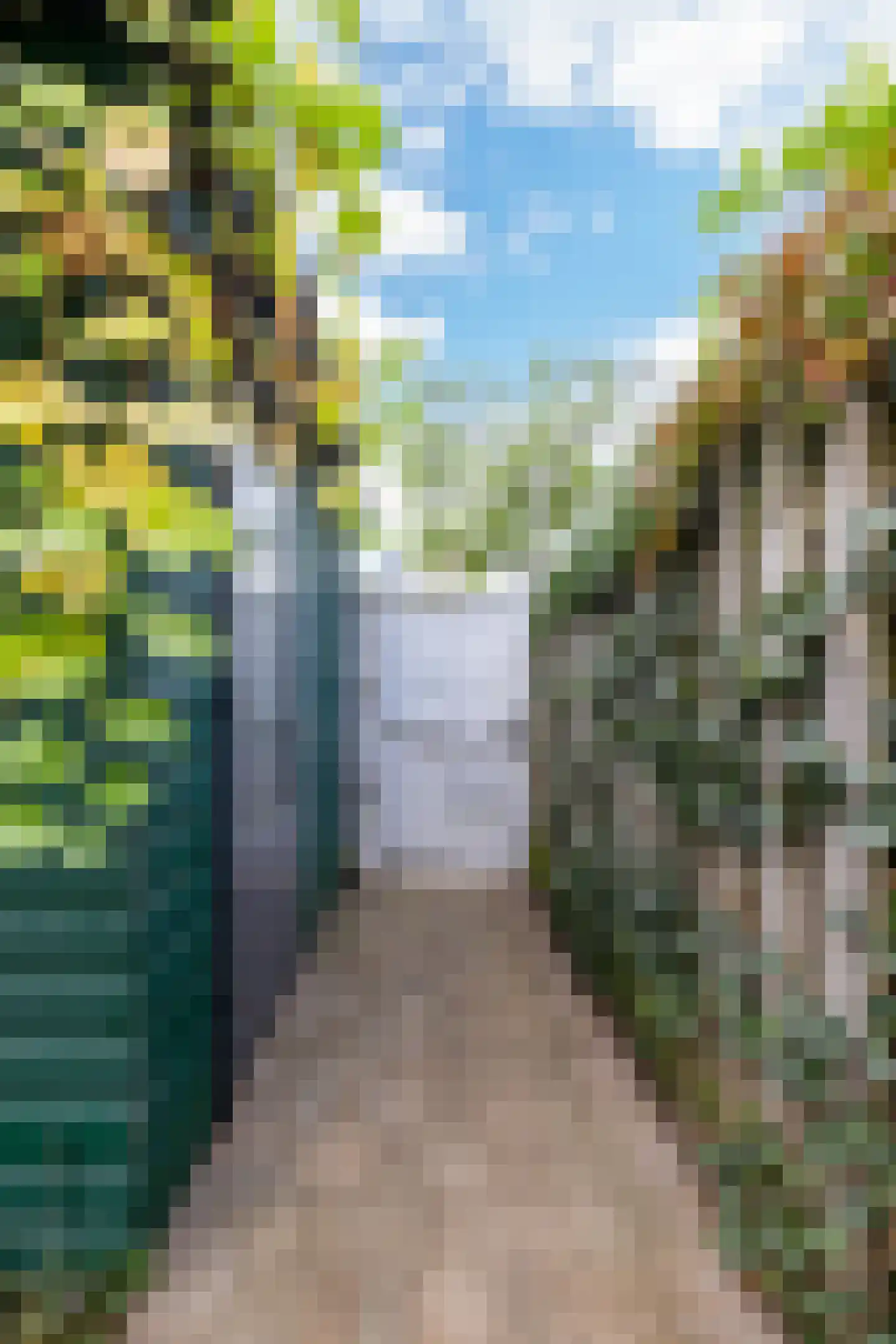 Florimont 6 's-Hertogenbosch thumbnail 32