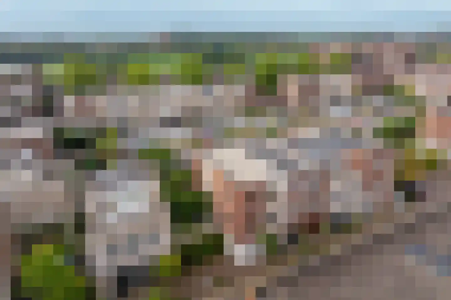 Florimont 6 's-Hertogenbosch thumbnail 37