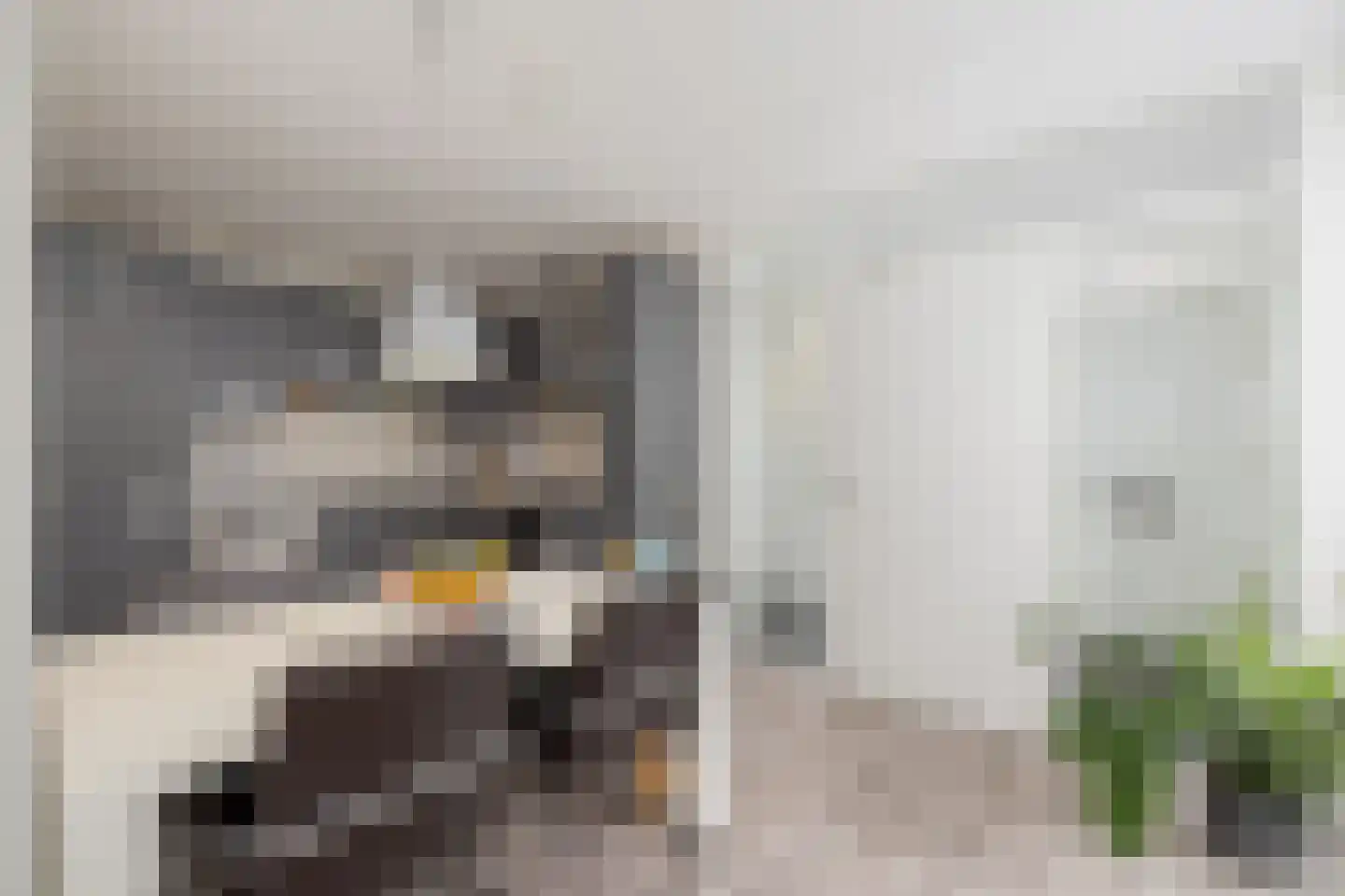 Florimont 6 's-Hertogenbosch thumbnail 5