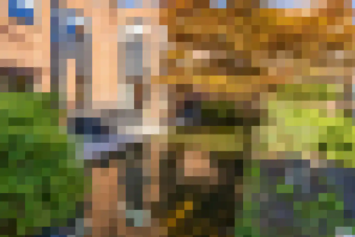 Floris Balthasarstraat 10 Spaarndam thumbnail 38