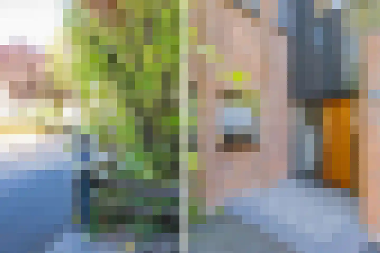 Floris Balthasarstraat 10 Spaarndam thumbnail 6