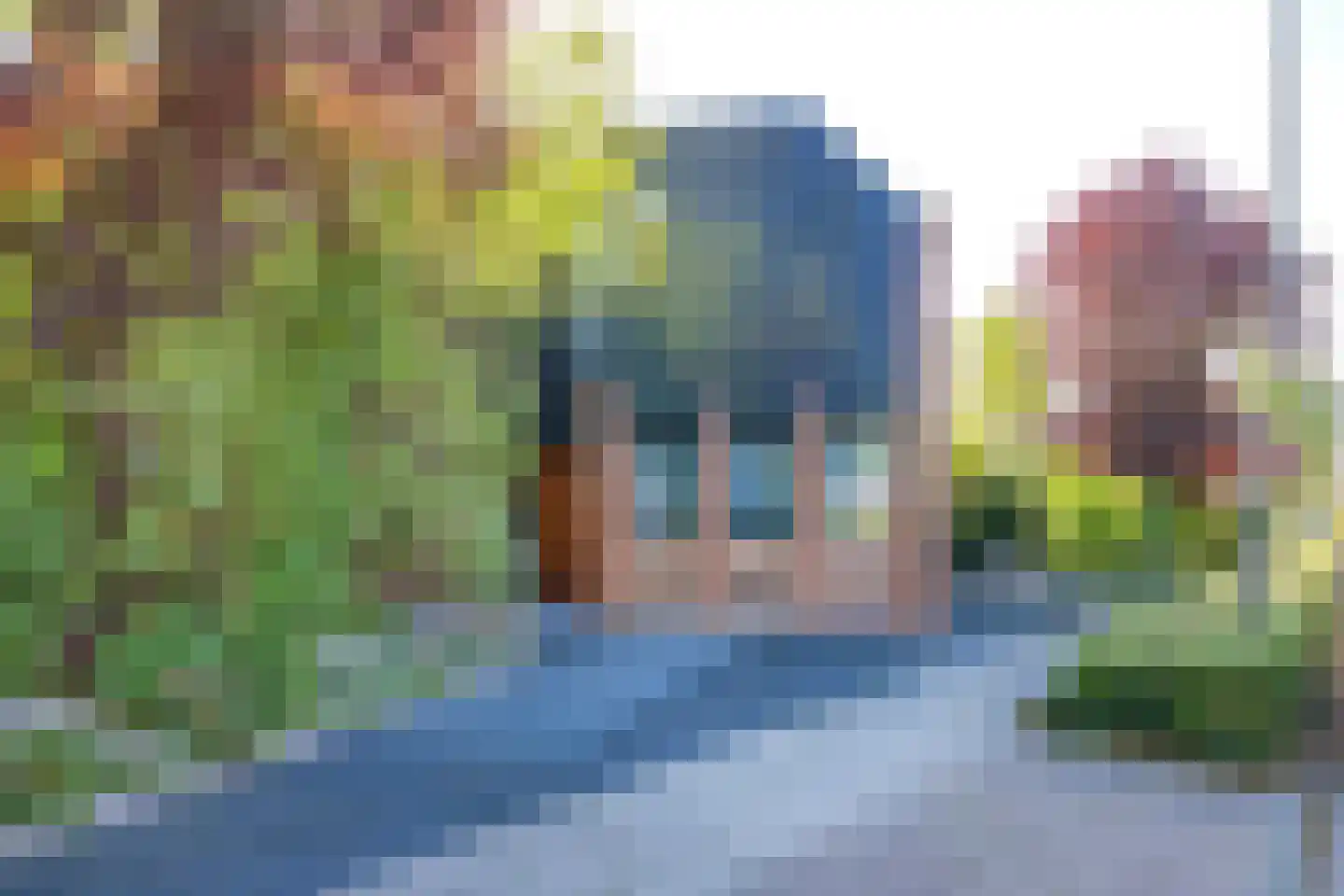 Floris Balthasarstraat 10 Spaarndam thumbnail 74