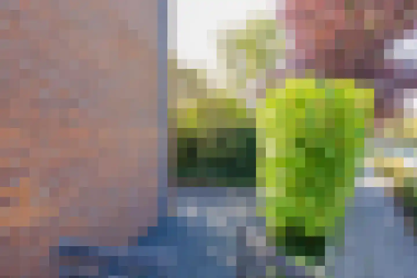 Floris Balthasarstraat 10 Spaarndam thumbnail 75