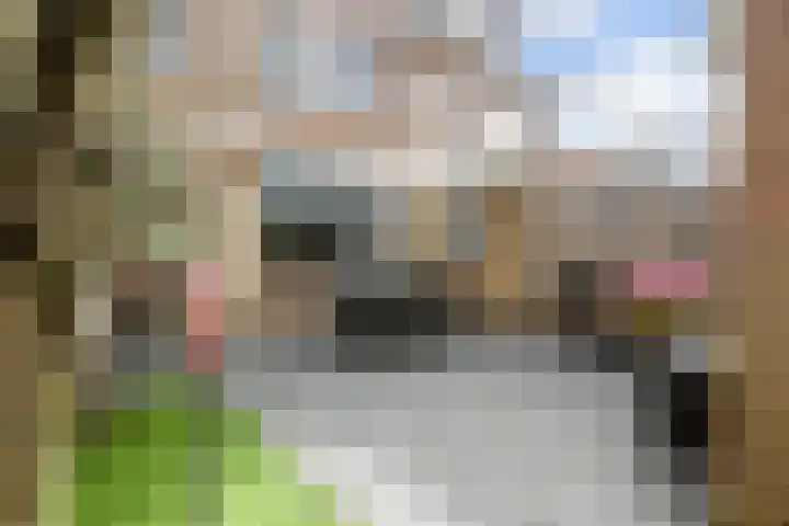 Floris Balthasarstraat 11 Spaarndam thumbnail 27
