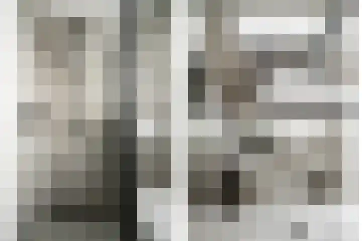 Floris Balthasarstraat 11 Spaarndam thumbnail 36