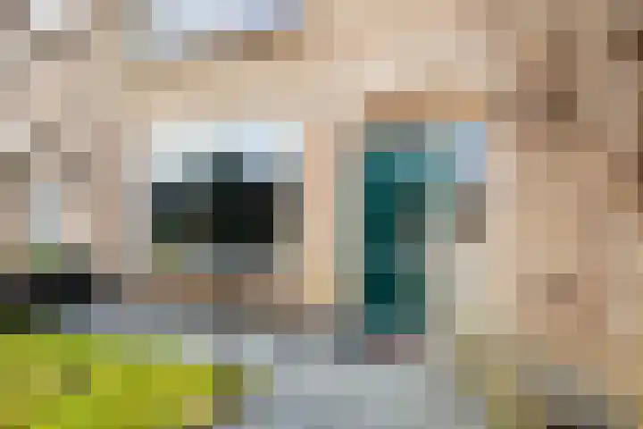 Floris Balthasarstraat 11 Spaarndam thumbnail 6