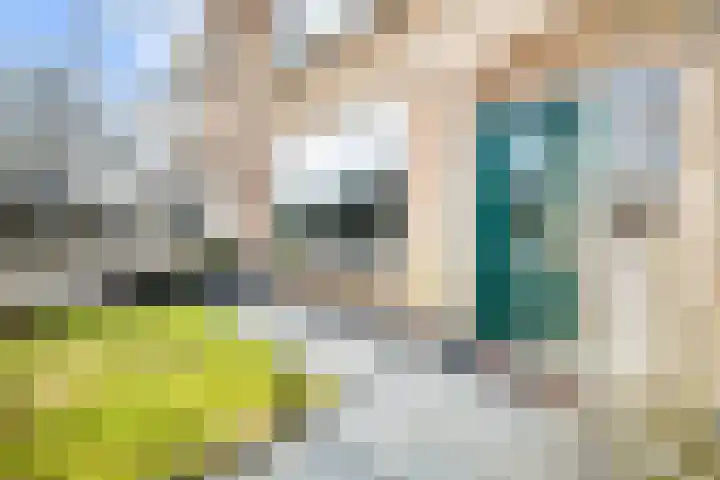 Floris Balthasarstraat 11 Spaarndam thumbnail 8