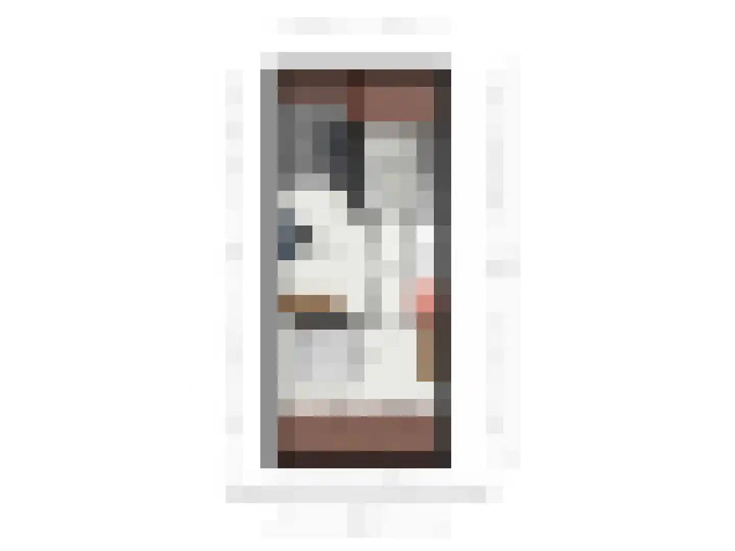 Floris Burgwal 102 Capelle aan den IJssel thumbnail 31