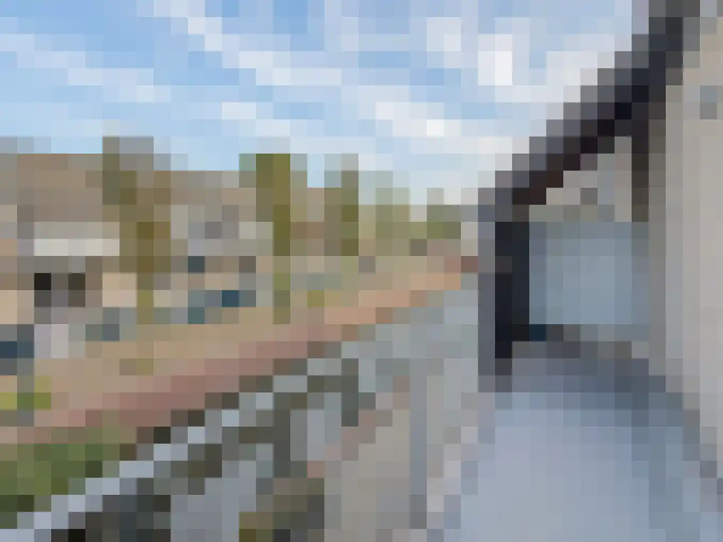 Floris Burgwal 102 Capelle aan den IJssel thumbnail 5