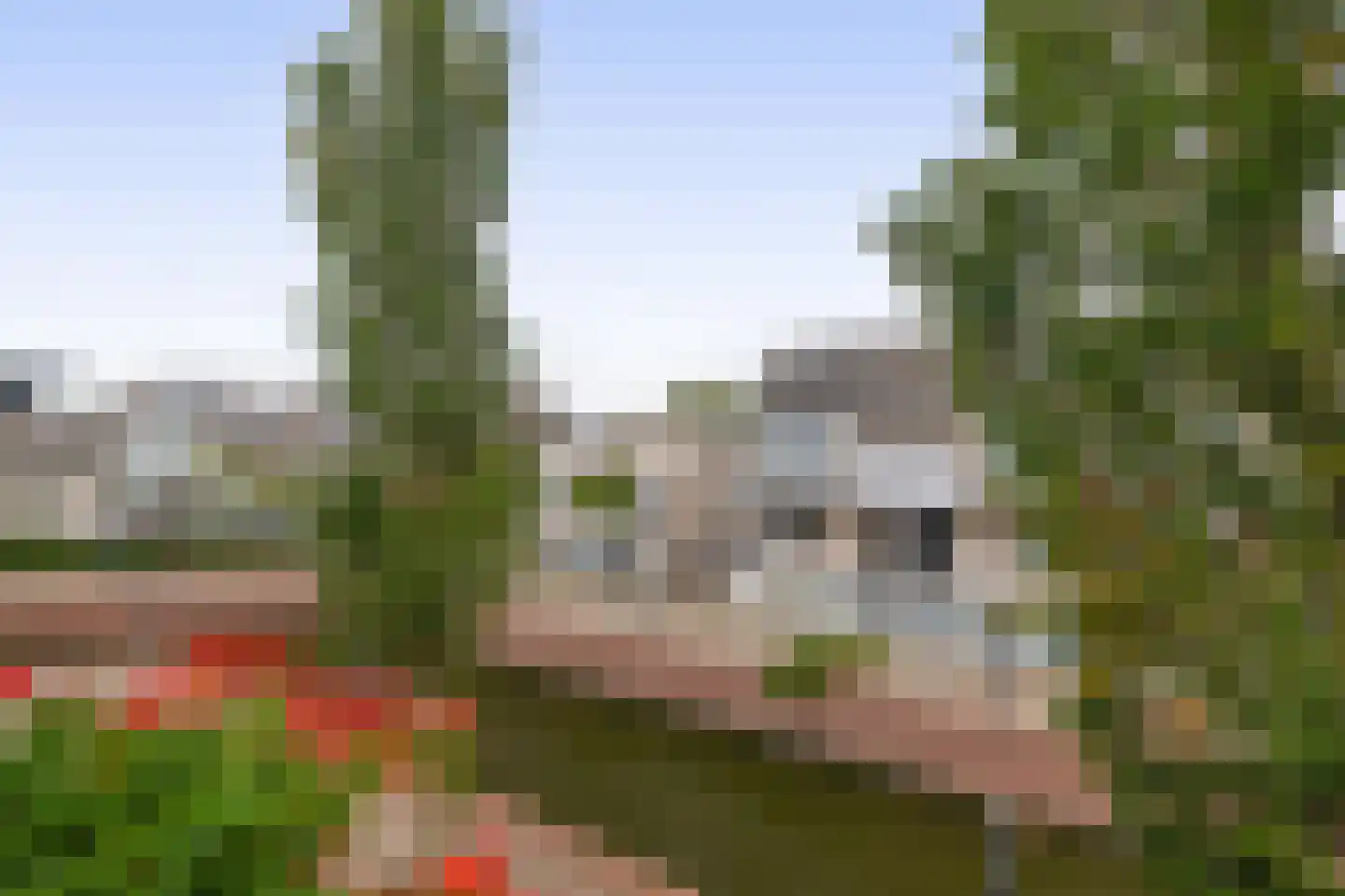Floris Burgwal 103 Capelle aan den IJssel thumbnail 27