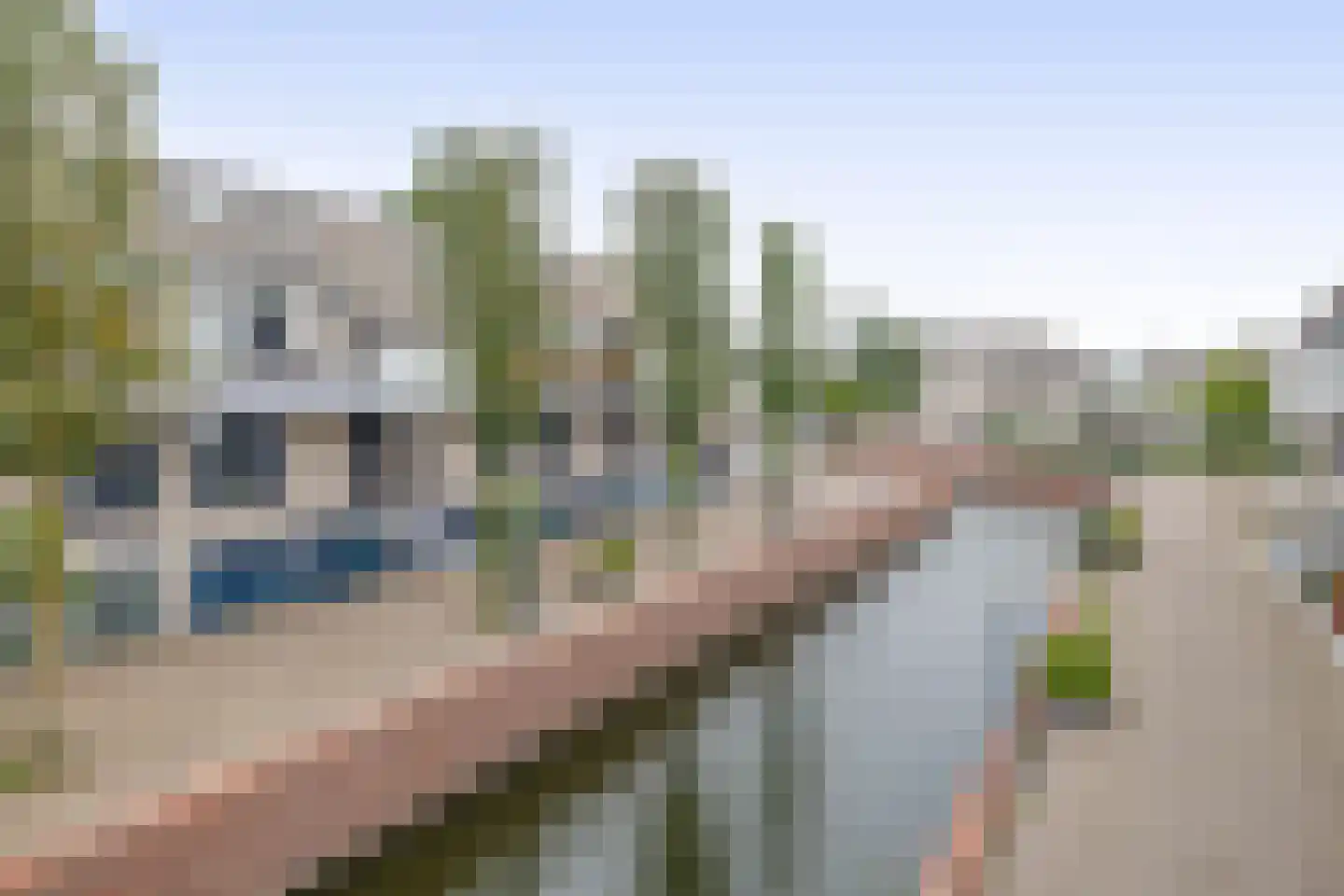 Floris Burgwal 103 Capelle aan den IJssel thumbnail 39