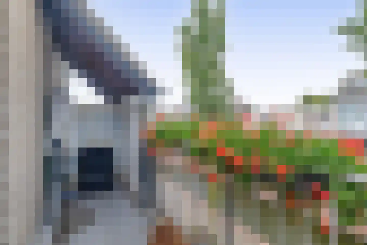 Floris Burgwal 103 Capelle aan den IJssel thumbnail 5