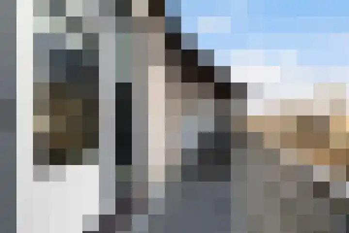 Floris Burgwal 112 Capelle aan den IJssel thumbnail 12