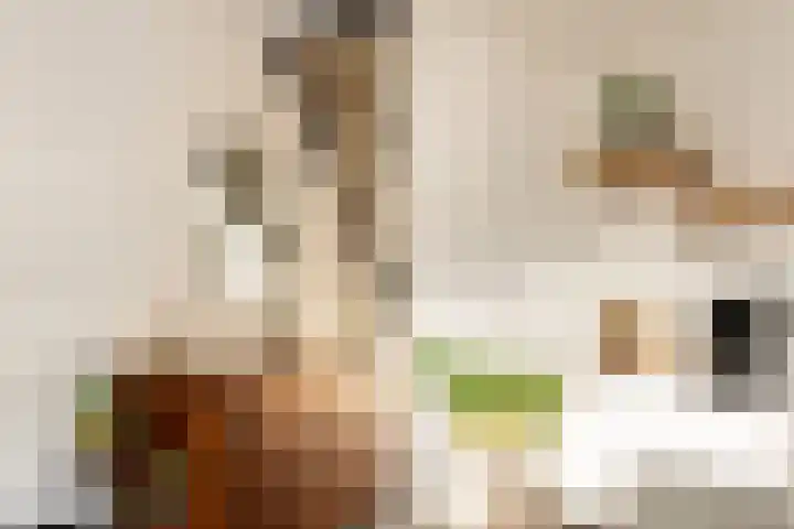 Floris Burgwal 112 Capelle aan den IJssel thumbnail 14