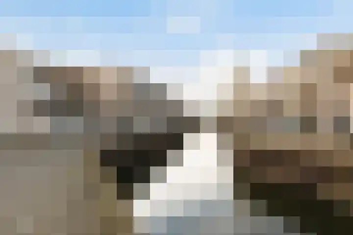 Floris Burgwal 112 Capelle aan den IJssel thumbnail 32