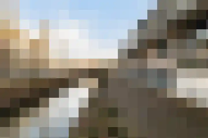 Floris Burgwal 112 Capelle aan den IJssel thumbnail 33