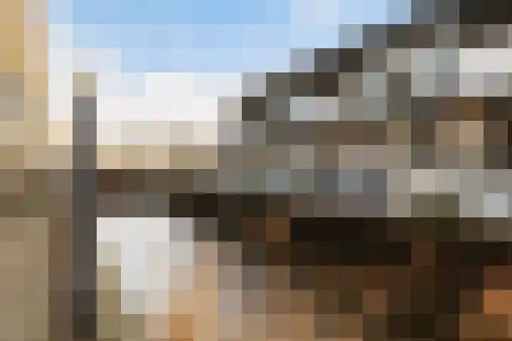 Floris Burgwal 112 Capelle aan den IJssel thumbnail 34
