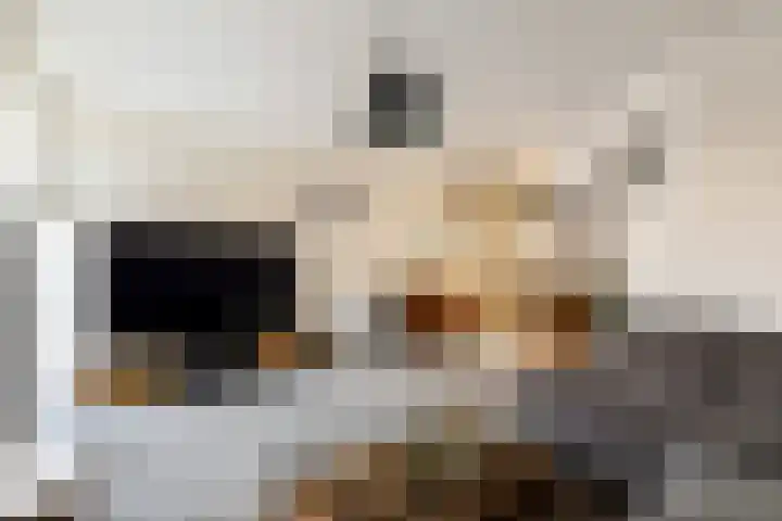 Floris Burgwal 112 Capelle aan den IJssel thumbnail 8