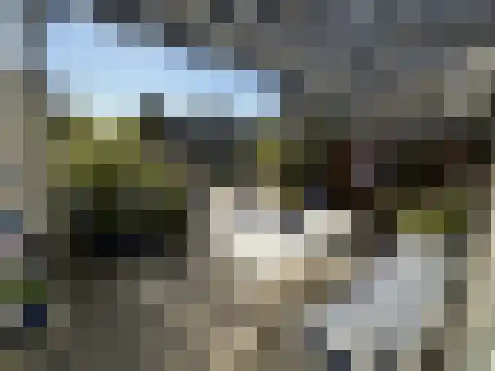 Floris Burgwal 130 Capelle aan den IJssel thumbnail 12