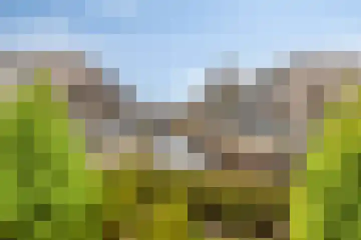 Floris Burgwal 130 Capelle aan den IJssel thumbnail 13