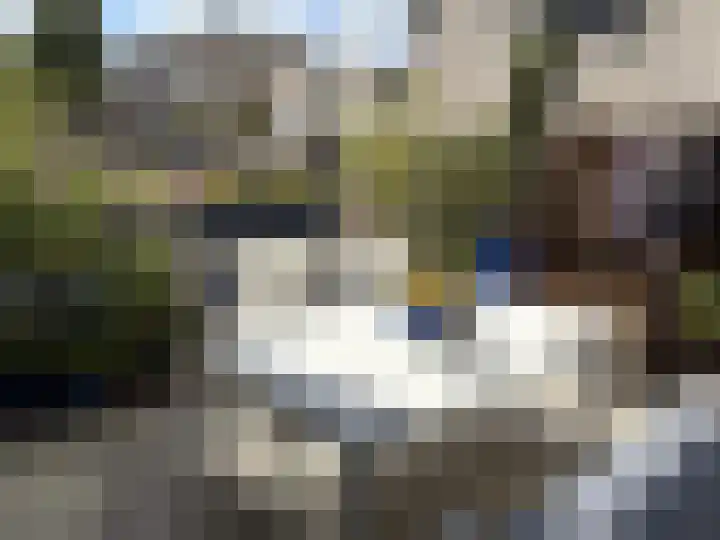Floris Burgwal 130 Capelle aan den IJssel thumbnail 14