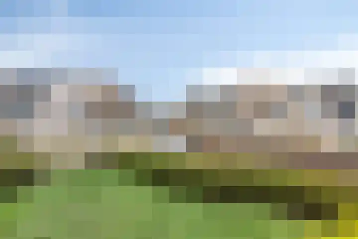 Floris Burgwal 130 Capelle aan den IJssel thumbnail 35