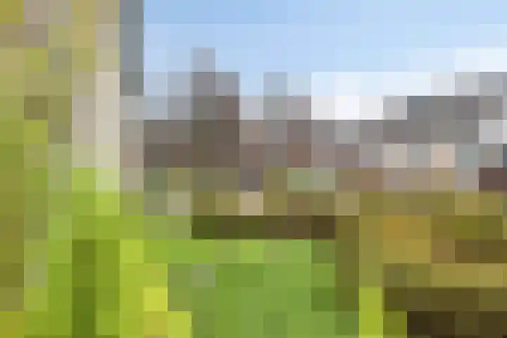 Floris Burgwal 130 Capelle aan den IJssel thumbnail 36