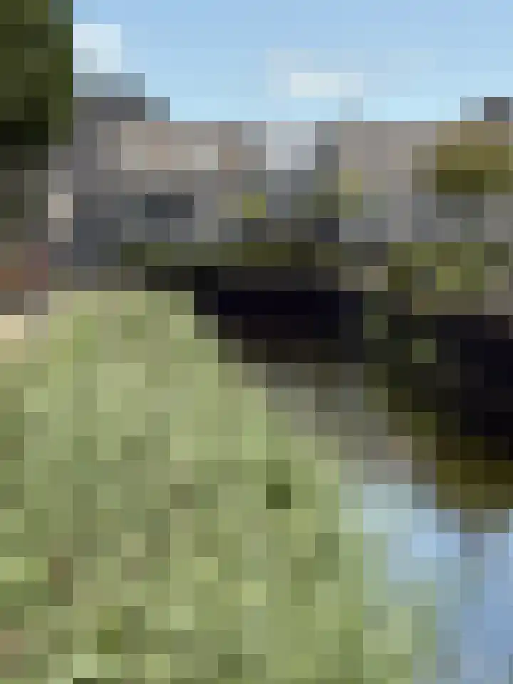 Floris Burgwal 130 Capelle aan den IJssel thumbnail 4