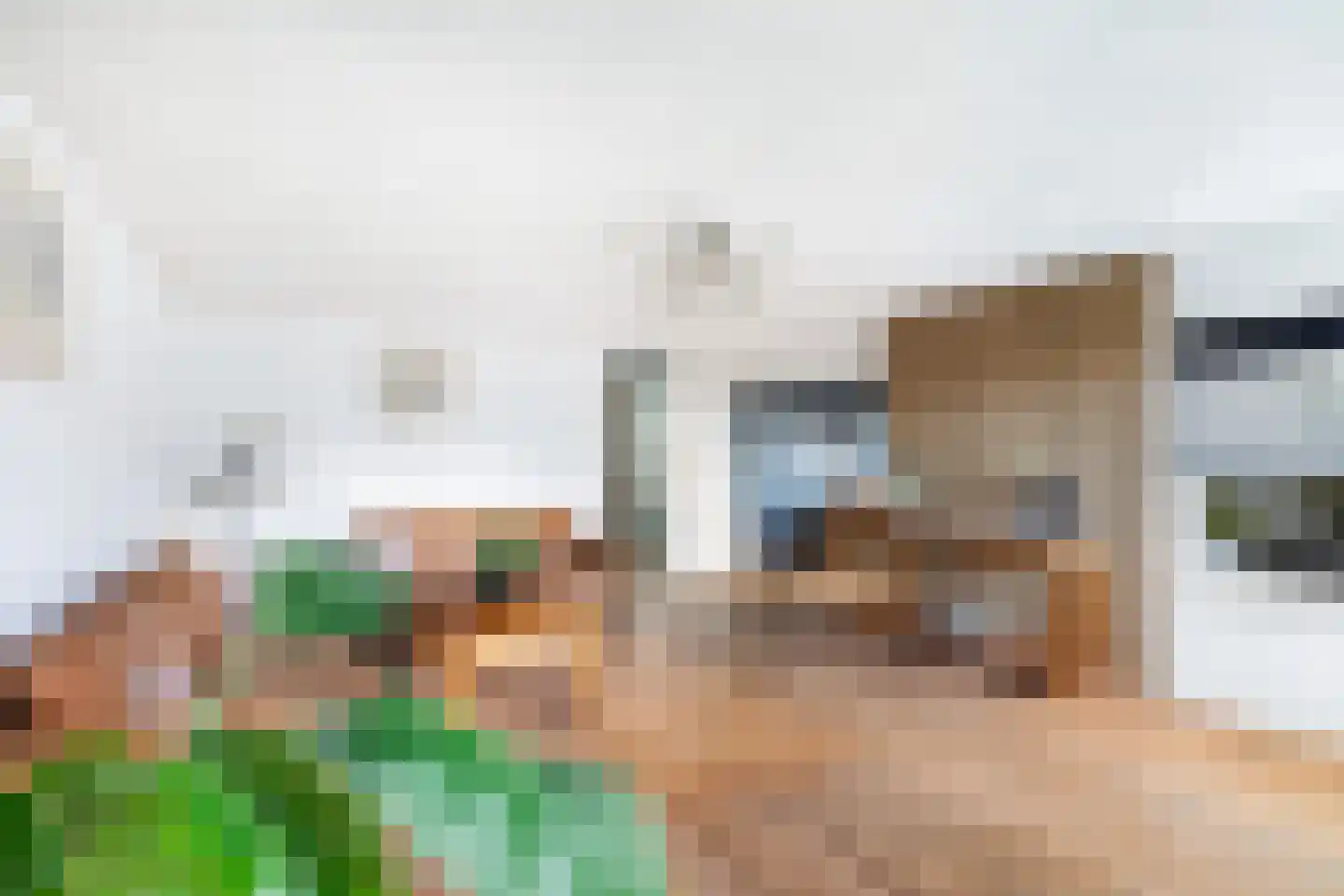 Floris Burgwal 132 Capelle aan den IJssel thumbnail 11