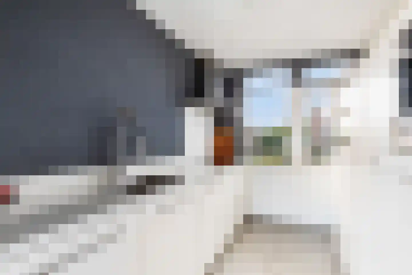 Floris Burgwal 132 Capelle aan den IJssel thumbnail 19