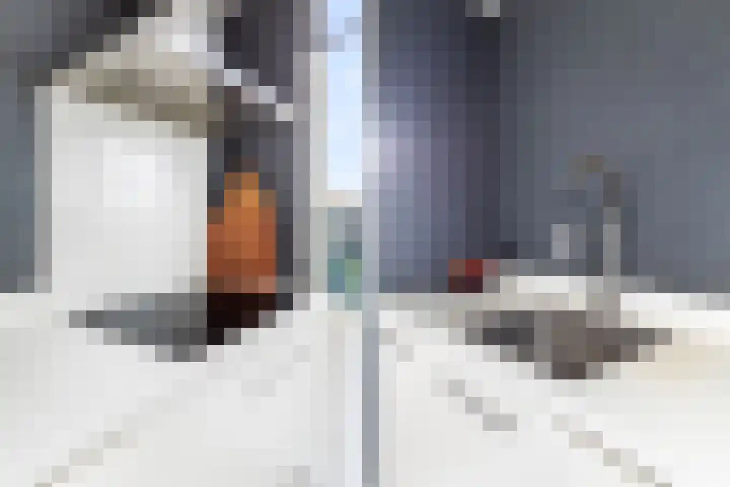 Floris Burgwal 132 Capelle aan den IJssel thumbnail 21
