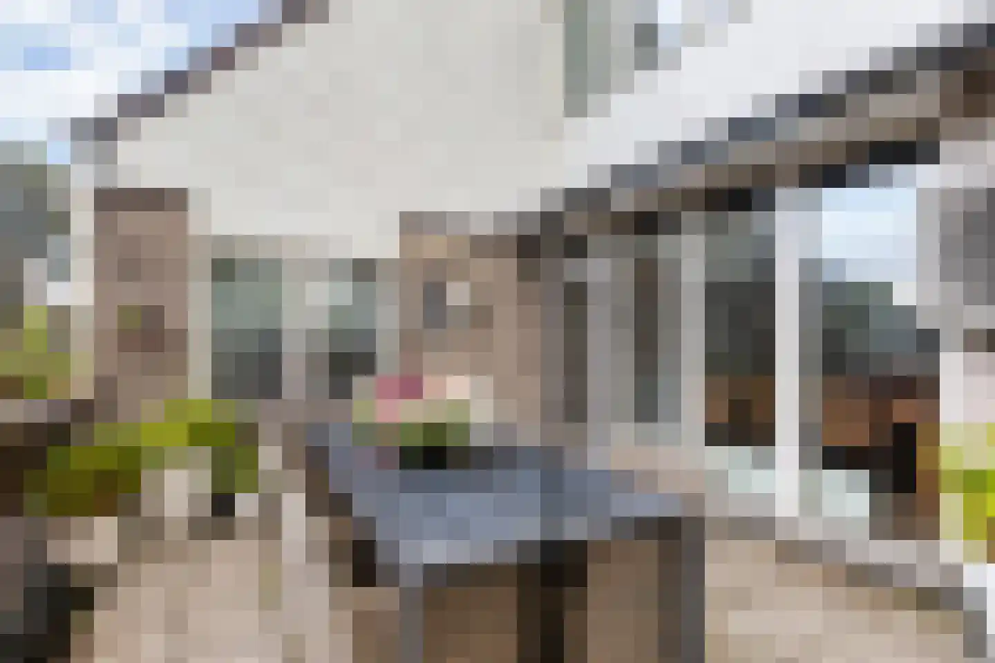 Floris Burgwal 132 Capelle aan den IJssel thumbnail 23